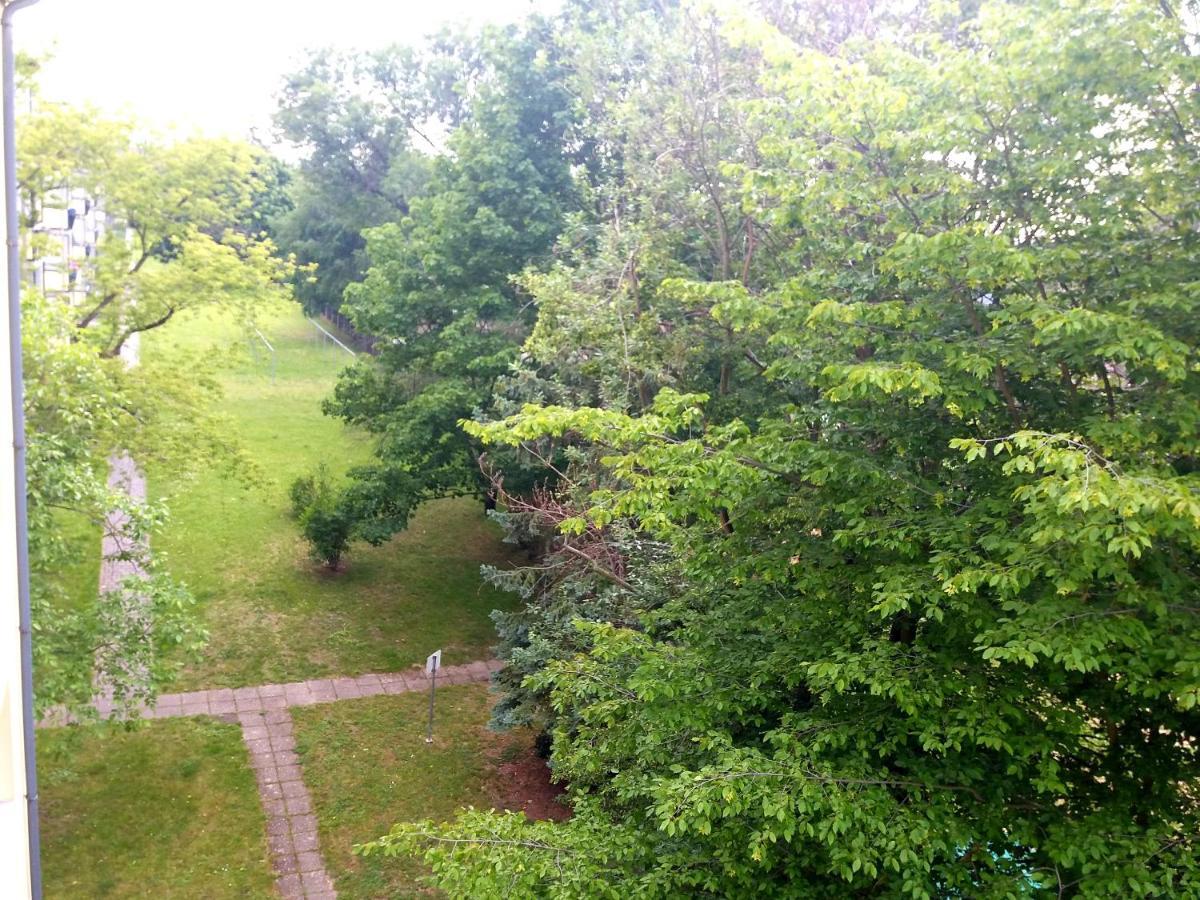 Helles Apartment Mit Balkon Am Grossen Garten Nahe Stadtzentrum Dresden Bagian luar foto