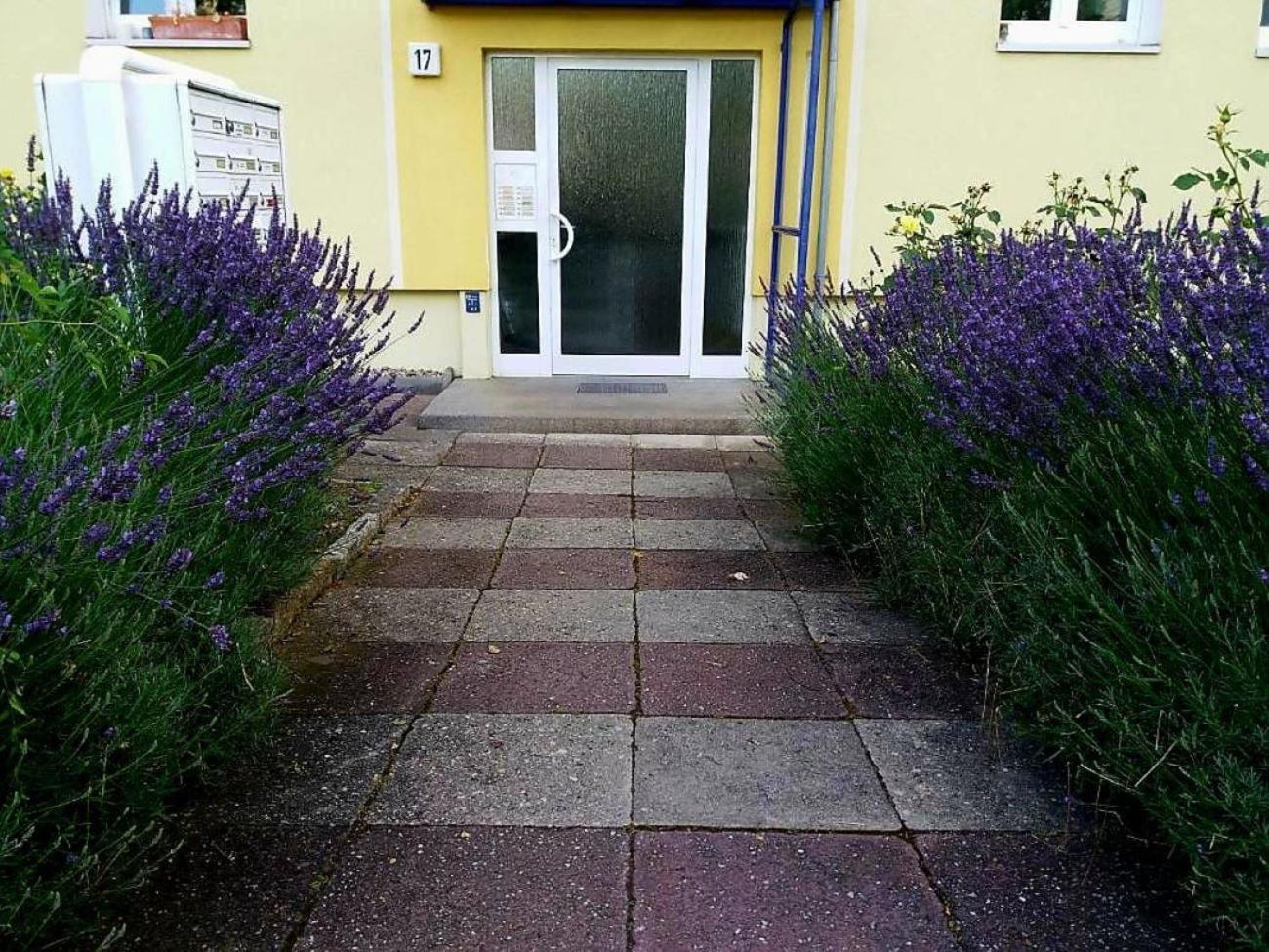 Helles Apartment Mit Balkon Am Grossen Garten Nahe Stadtzentrum Dresden Bagian luar foto